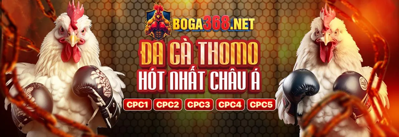 Đá gà trực tiếp SV388