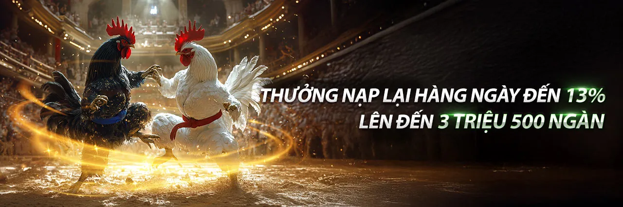 Hình ảnh đá gà trực tiếp 388 tại SV388