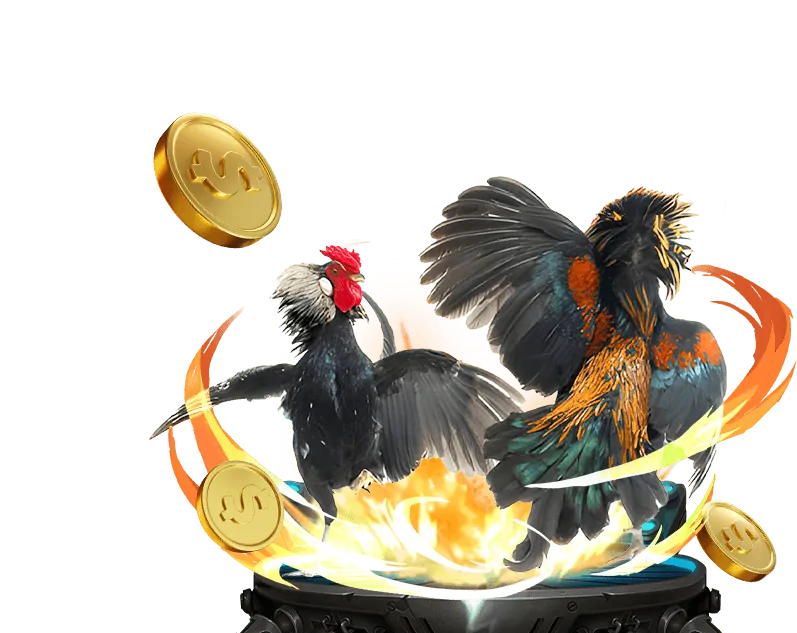 Đá gà trực tiếp SV388